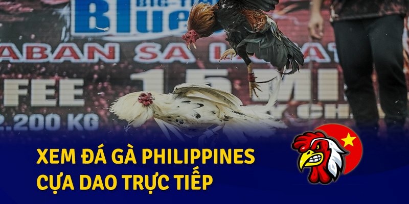 Đá gà Philippines hội tụ chiến kê đỉnh nhất châu Á